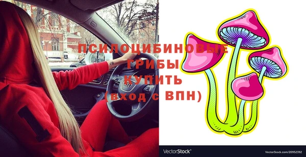 винт Ельня